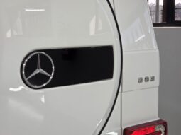 2017 Mercedes-Benz G63 Edition 463 full